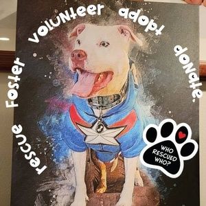 Meet your Posher, Laura